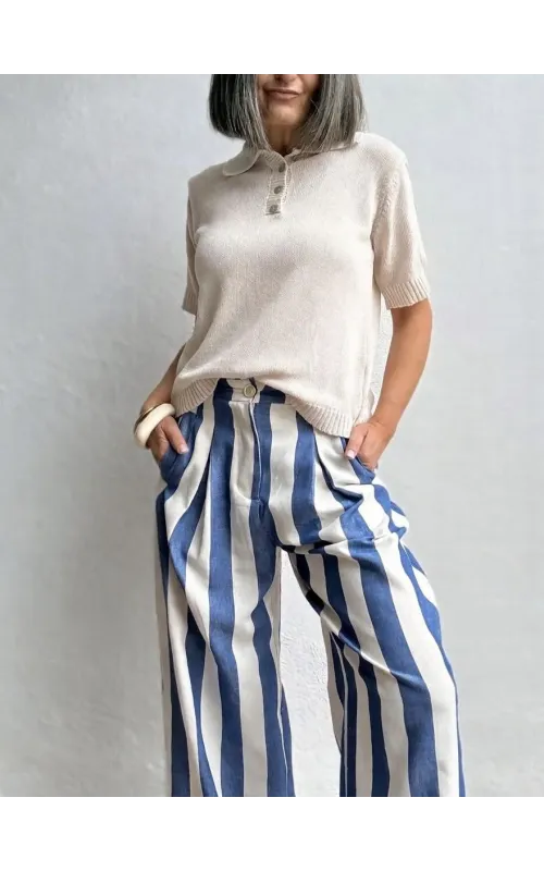 Pantalón de Rayas Verticales Azul
