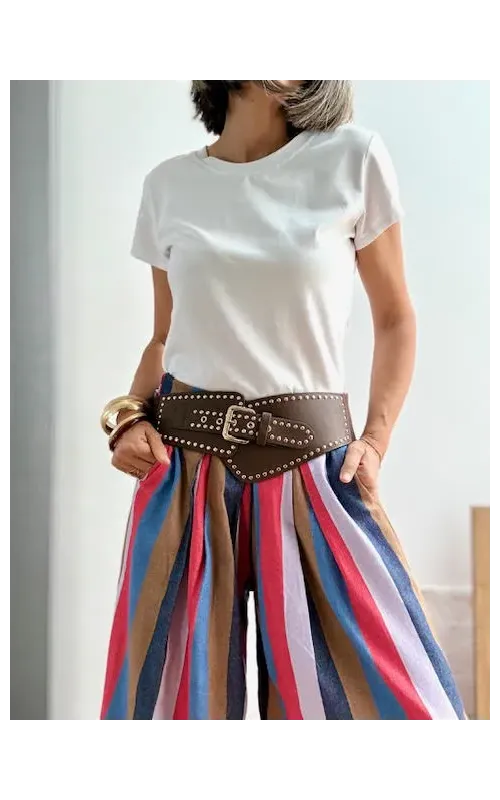 Pantalones Pinzas Rayas Multicolor 001
