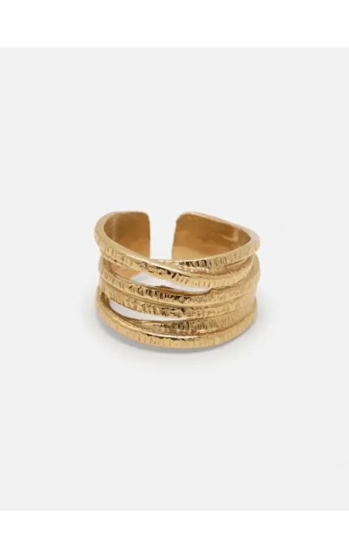 Anillo Trazas
